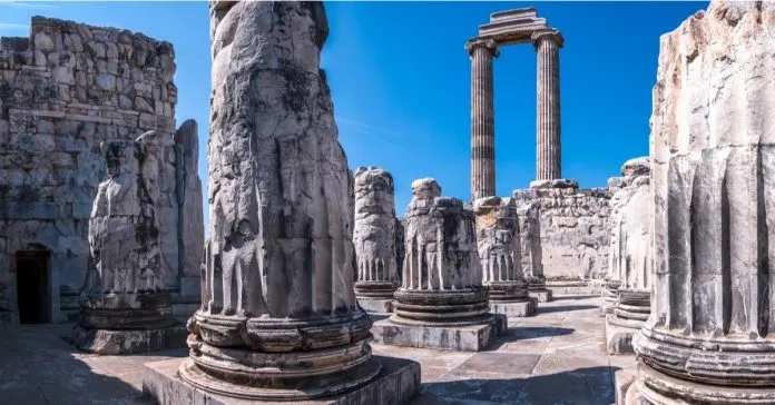 DİDİM